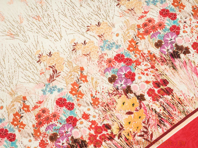 Кликните для увеличения изображения Жаккард с выработкой 5560Ж