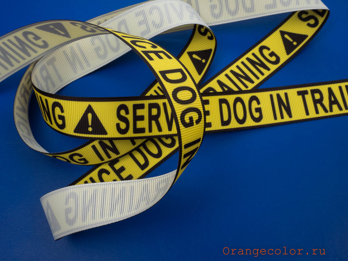 Кликните для увеличения изображения Лента 03324ТД-02