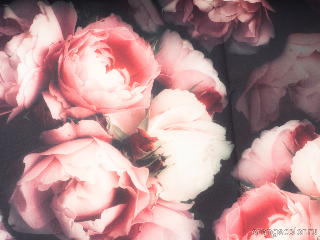 Курточная ткань с рисунком 6831ПЛ