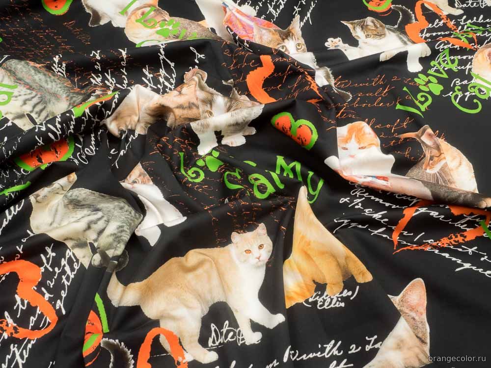 Кликните для увеличения изображения Кошки и коты