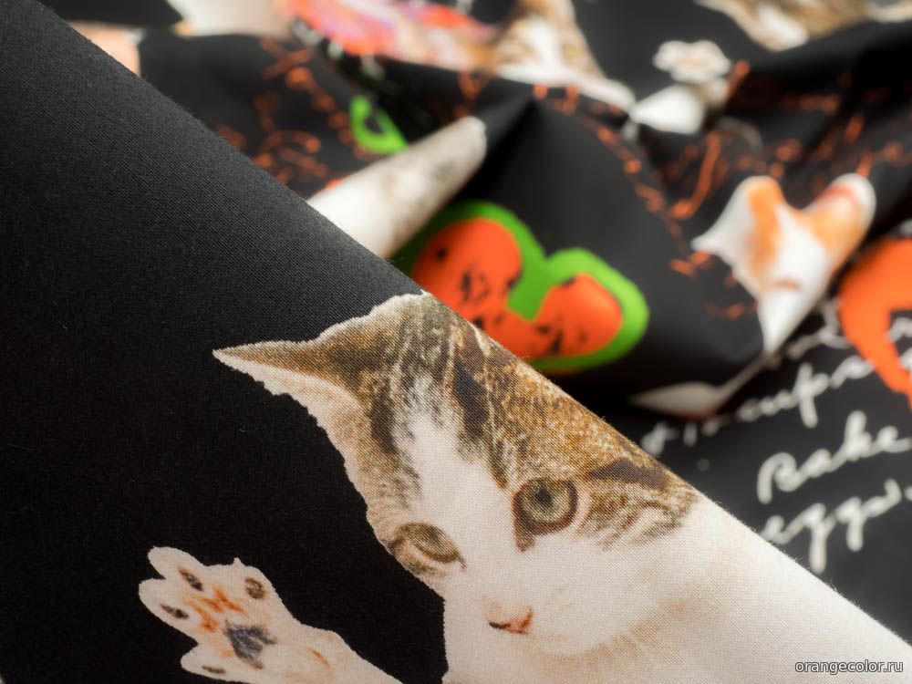 Кликните для увеличения изображения Кошки и коты