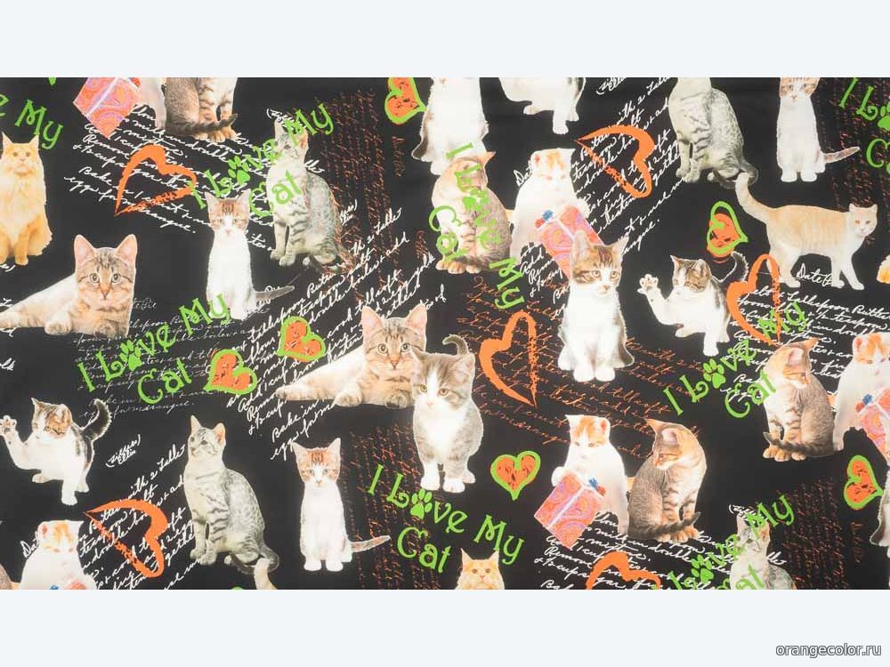 Кликните для увеличения изображения Кошки и коты