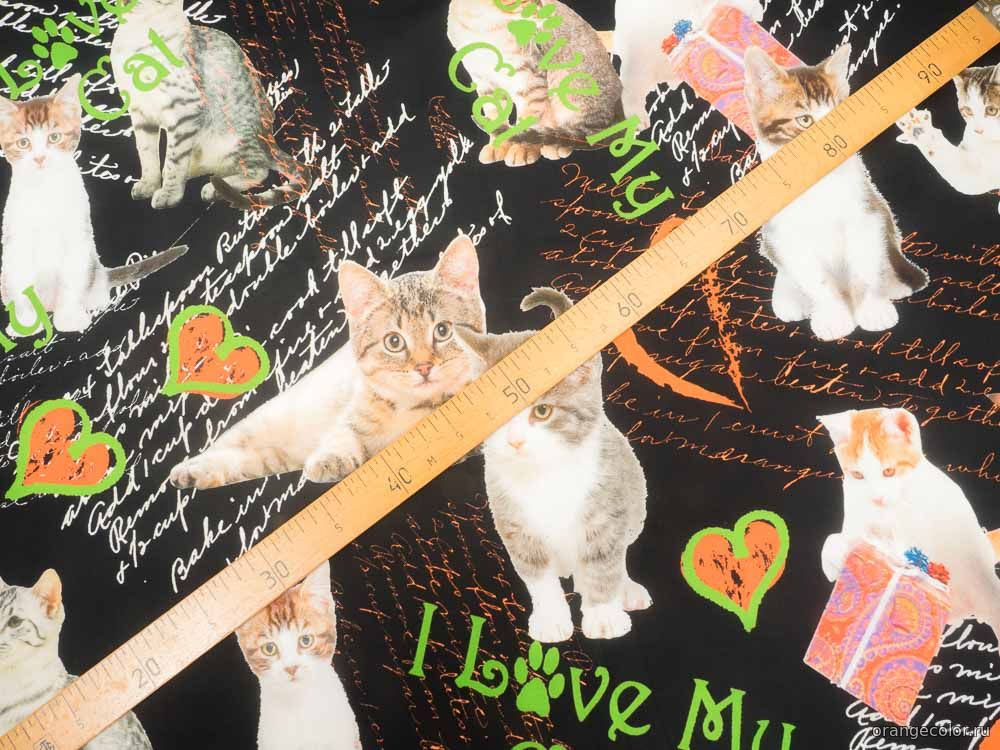 Кликните для увеличения изображения Кошки и коты