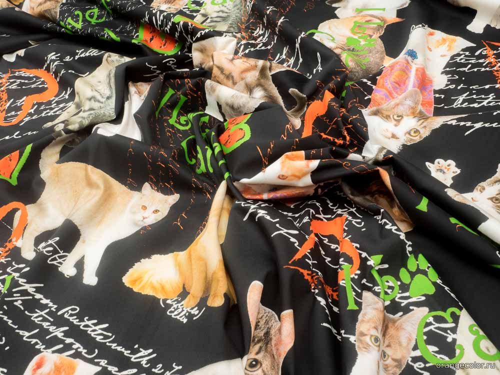 Кликните для увеличения изображения Кошки и коты