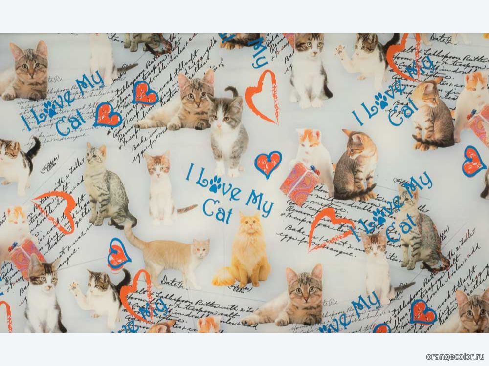 Кошки и коты 