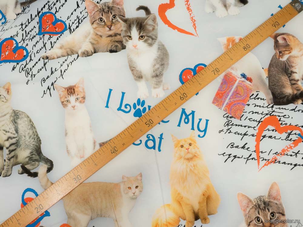 Кошки и коты 