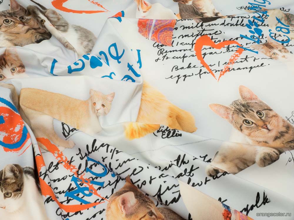 Кошки и коты 