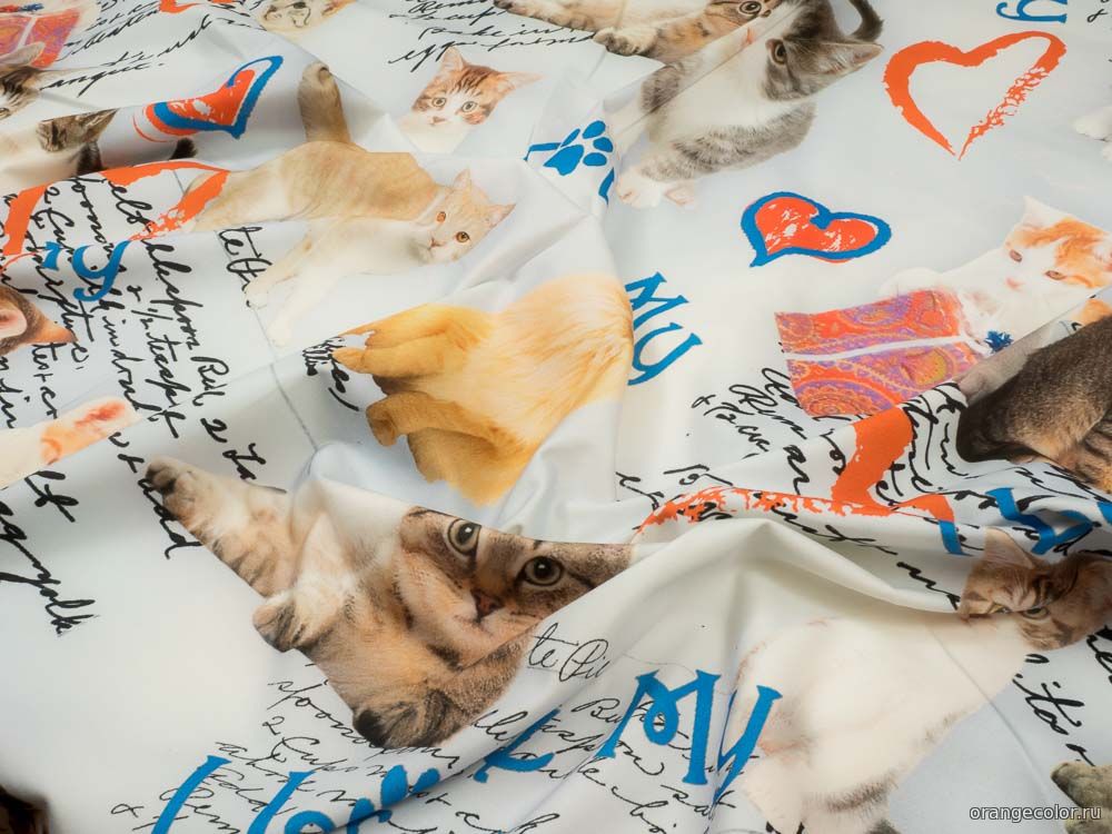 Кошки и коты 