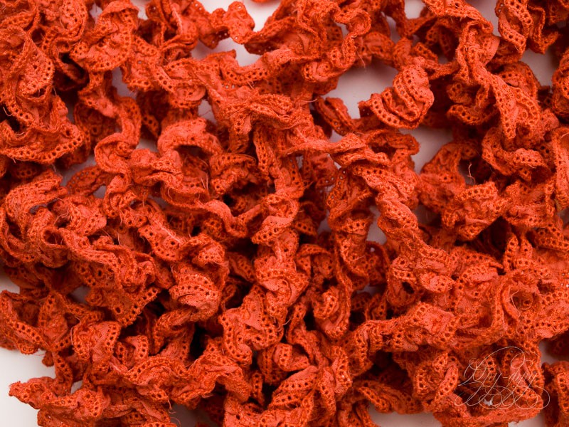 Кликните для увеличения изображения Декоративная тесьма-резинка 02005ТД-05