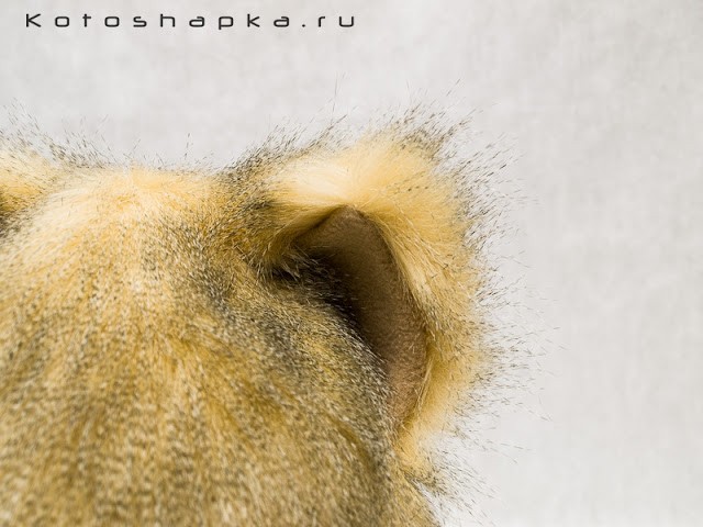 Кликните для увеличения изображения Котошапка