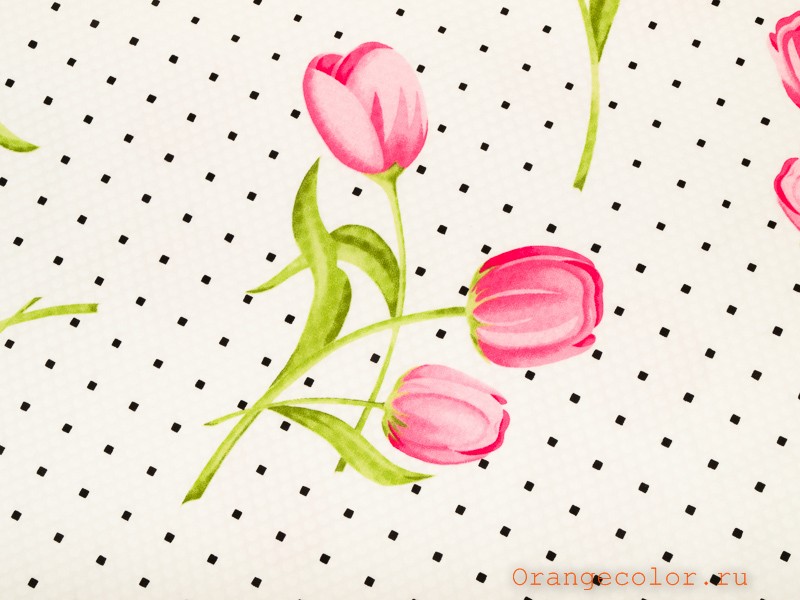 Кликните для увеличения изображения Хлопок с эластаном 4389ХП