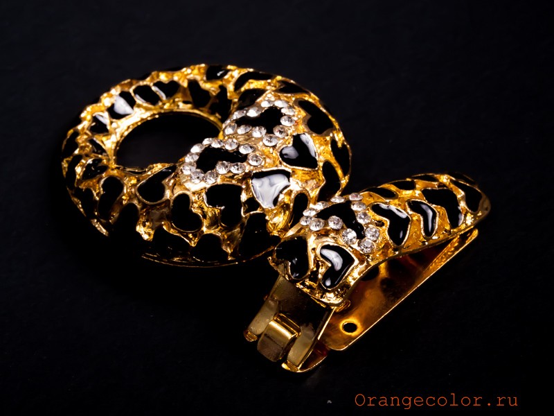 Декоративная застежка 02596ДЗ-01